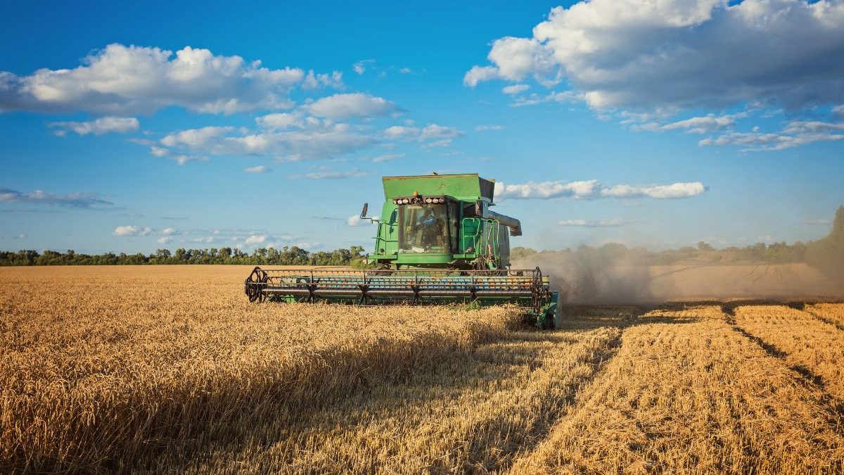 Super El Niño histórico e a safra em SC: como as previsões estão mudando as decisões dos agricultores no campo