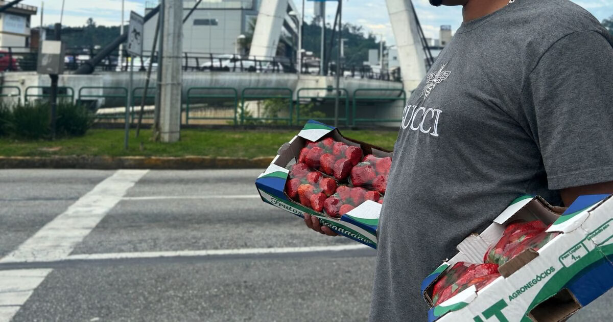Restrições de locais e produtos: projeto de lei propõe novas regras para o comércio ambulante de Brusque; entenda a proposta