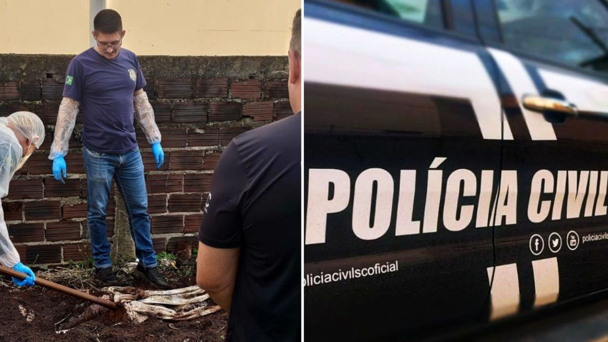 Polícia indicia dois homens após homicídio brutal de idoso achado amarrado em cova rasa em SC