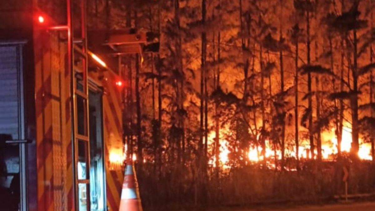 Incêndio de grandes proporções destrói fábrica e atinge tanque com 100 litros de combustível em SC