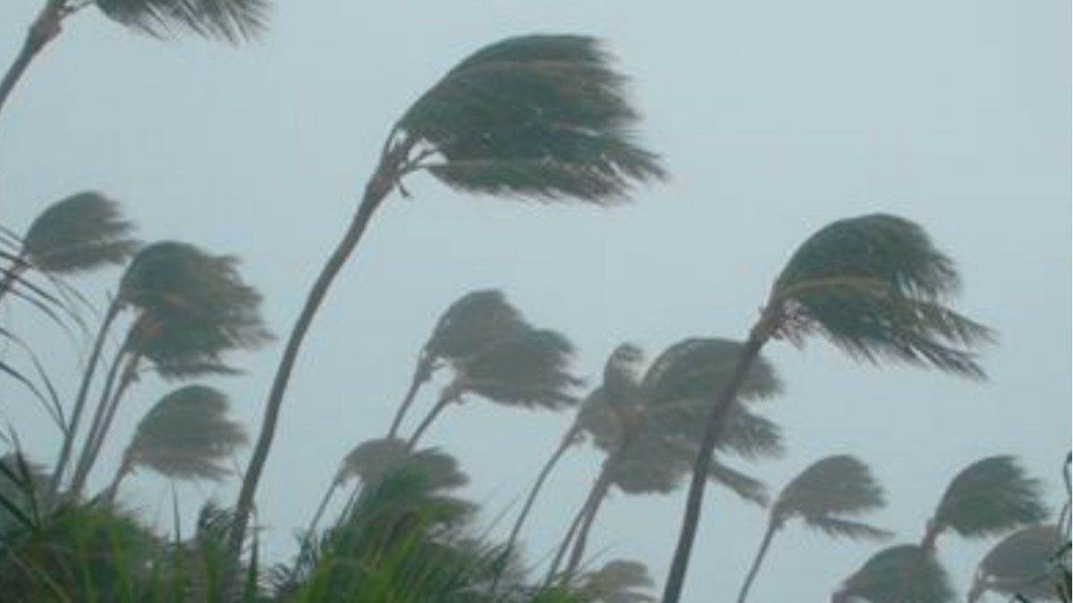 Ventos fortes de 110 km/h: 4 estados entram em alerta de ‘perigo’ para vendaval com ápice nos próximos dias
