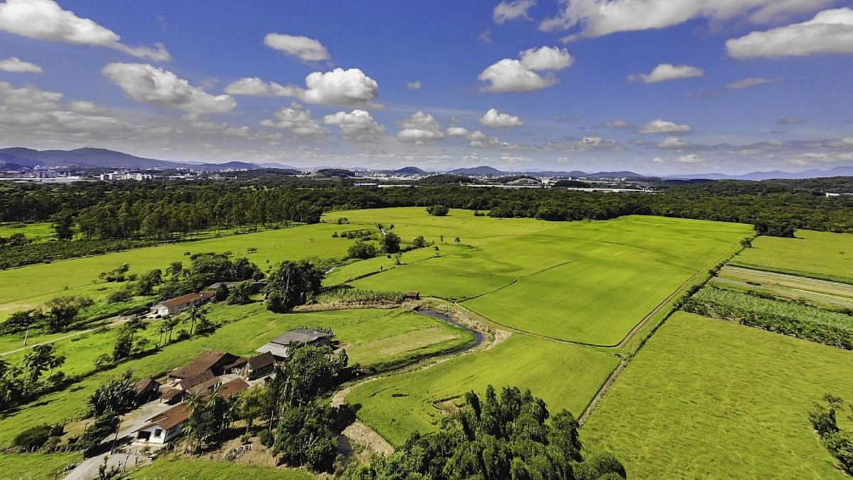 Expansão urbana de Joinville avança e pode adicionar área quase duas vezes maior que Balneário Camboriú