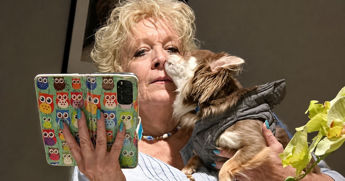 Incomodada com as patadas de seu cão, uma idosa decide procurar ajuda para entender o que estava acontecendo, até descobrir que exames revelaram que o cachorro havia encontrado um câncer em seus seios