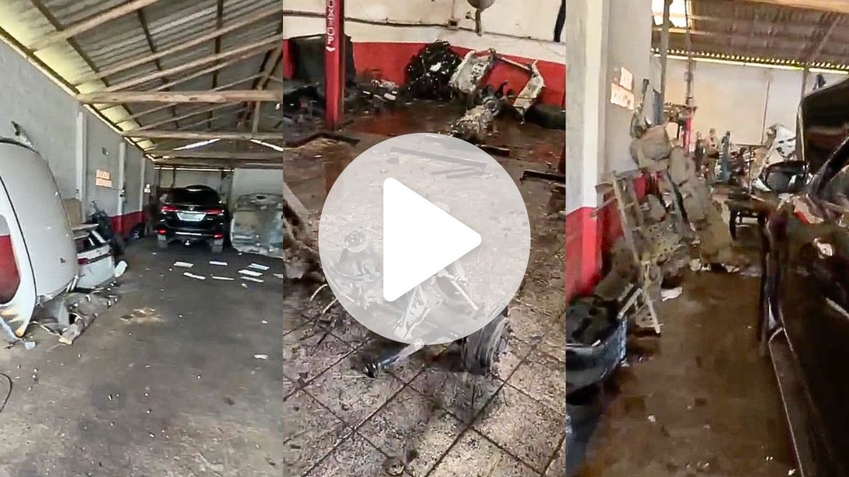 ‘Cemitério’ clandestino de carros roubados é descoberto em meio a carcaças na BR-470 em SC
