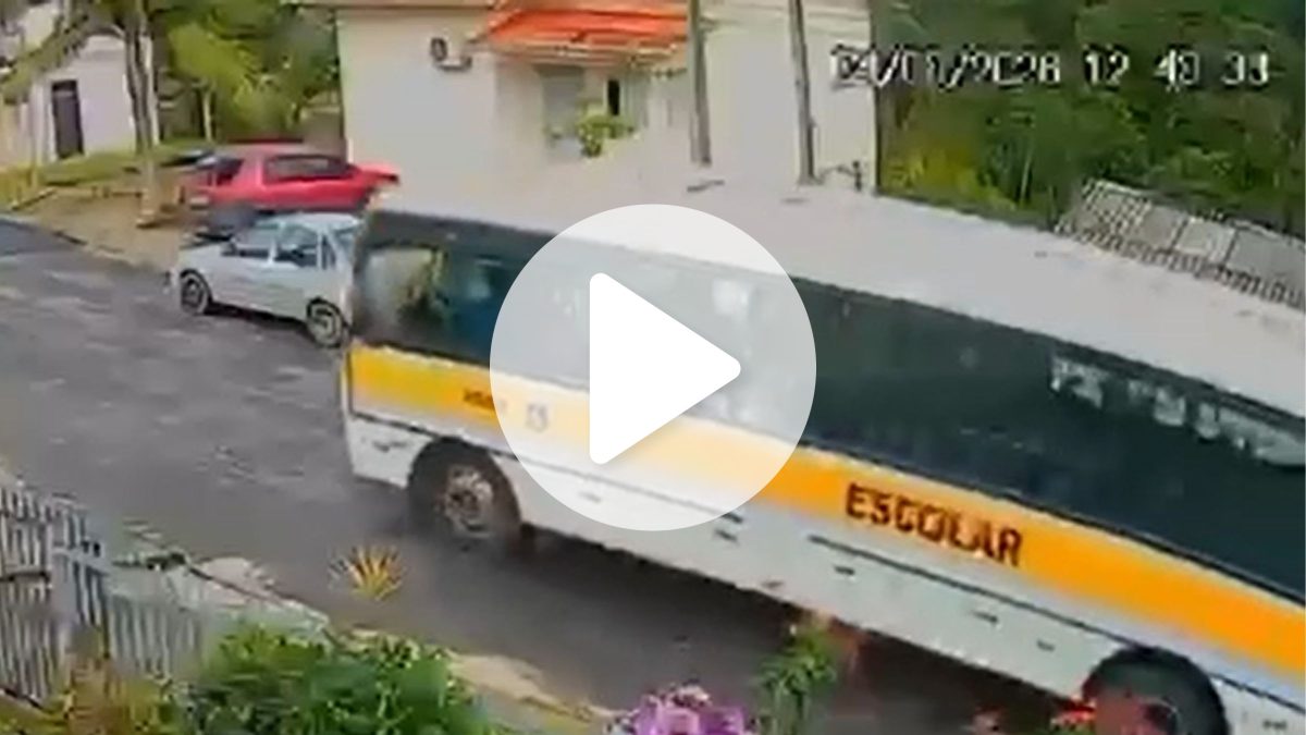 Motorista de ônibus escolar é afastado após atropelar cachorro durante o expediente em SC