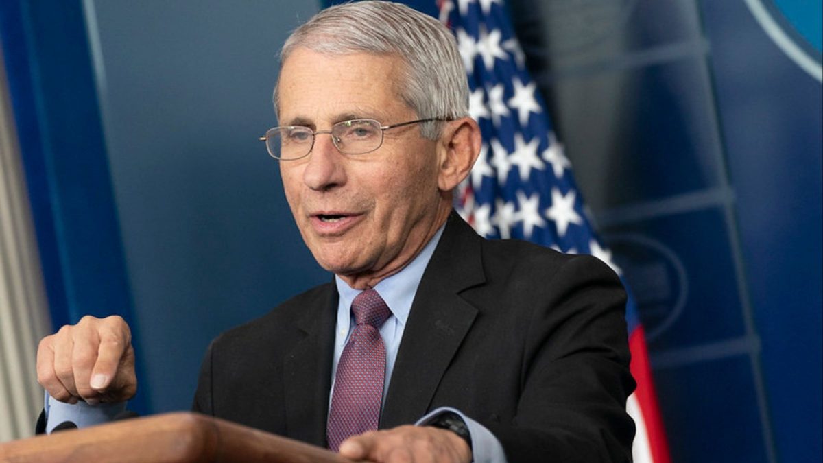 Anthony Fauci pode pegar até um ano de prisão após ficar em silêncio mais de 100 vezes em audiência sobre a Covid-19 no Senado