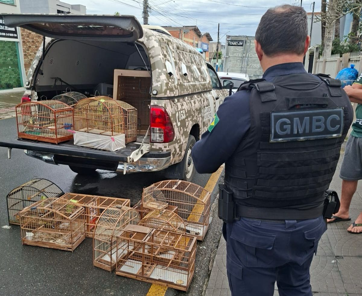 Homem foi preso com oito pássaros silvestres mantidos em cativeiro em Balneário Camboriú