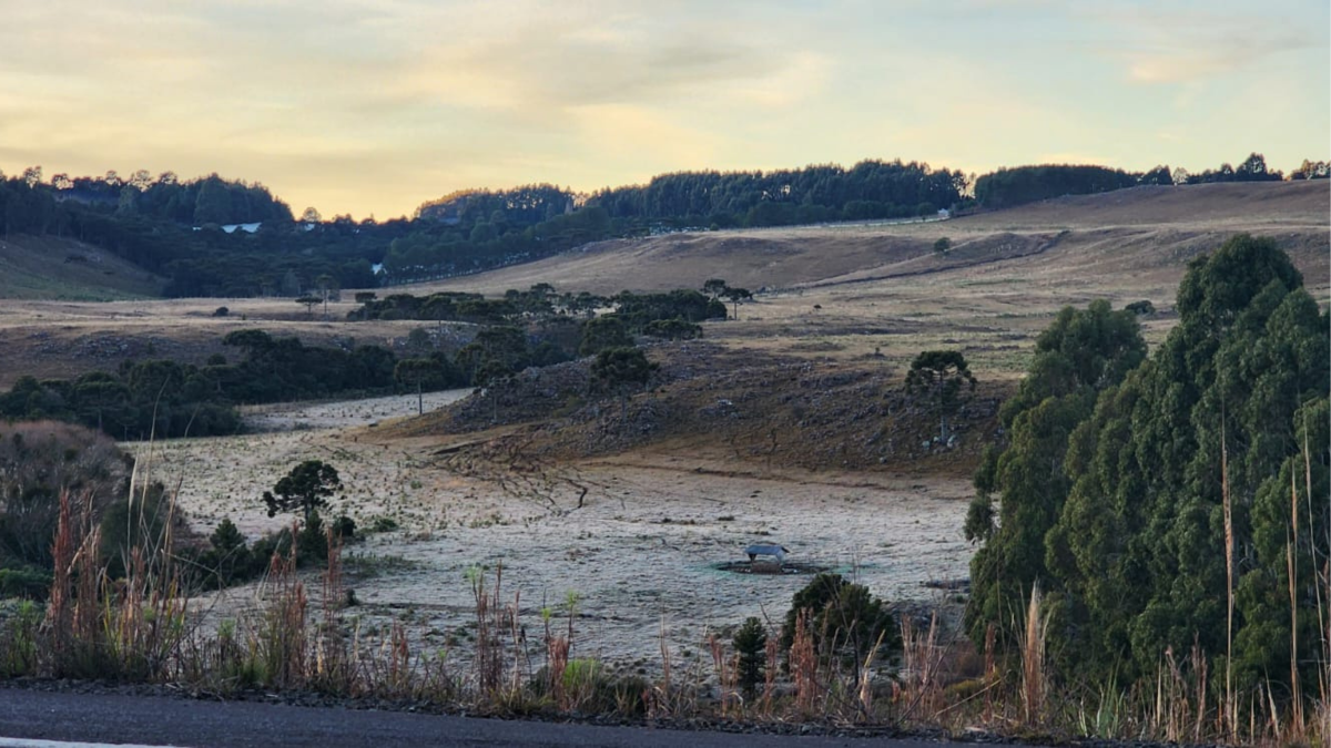 Geada volta à Serra de SC e temperaturas podem ficar abaixo de 0°C nos próximos dias