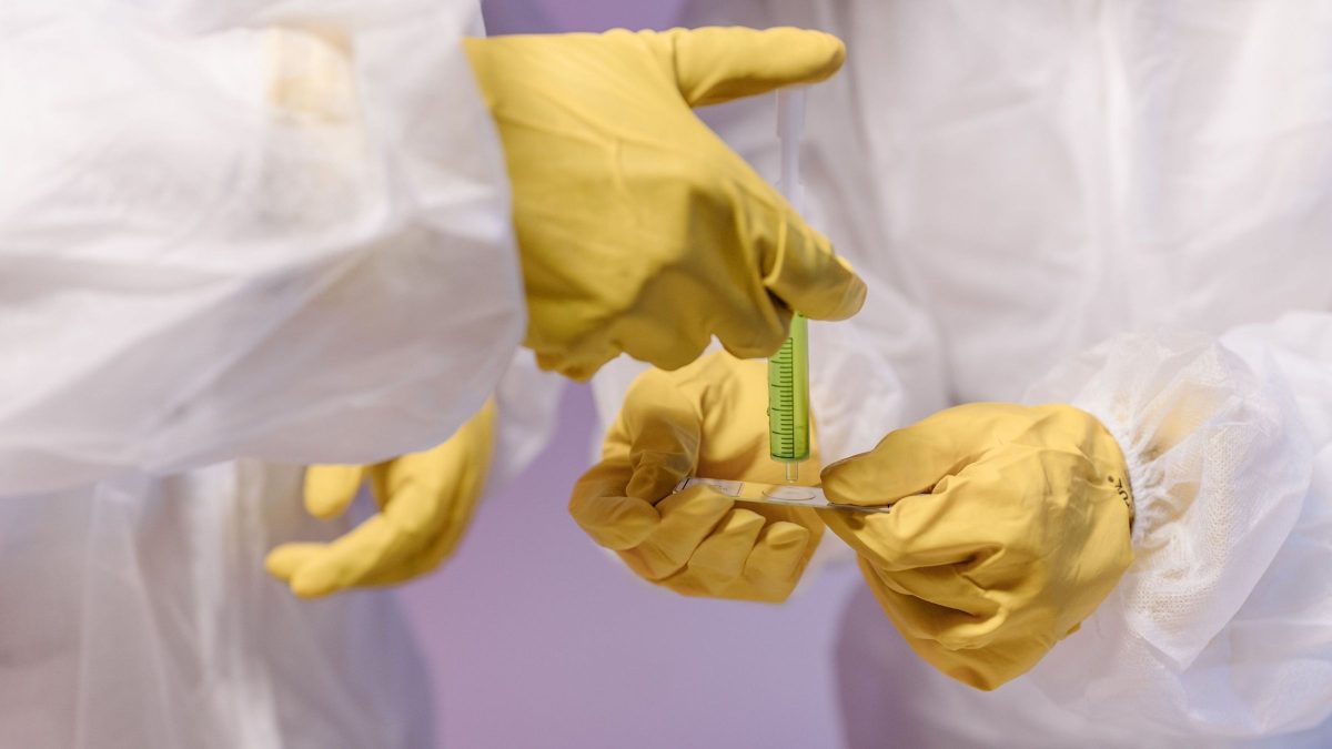Ebola avança no Congo com mais de 4 mil casos confirmados; estudo indica que vírus circulava antes do surto