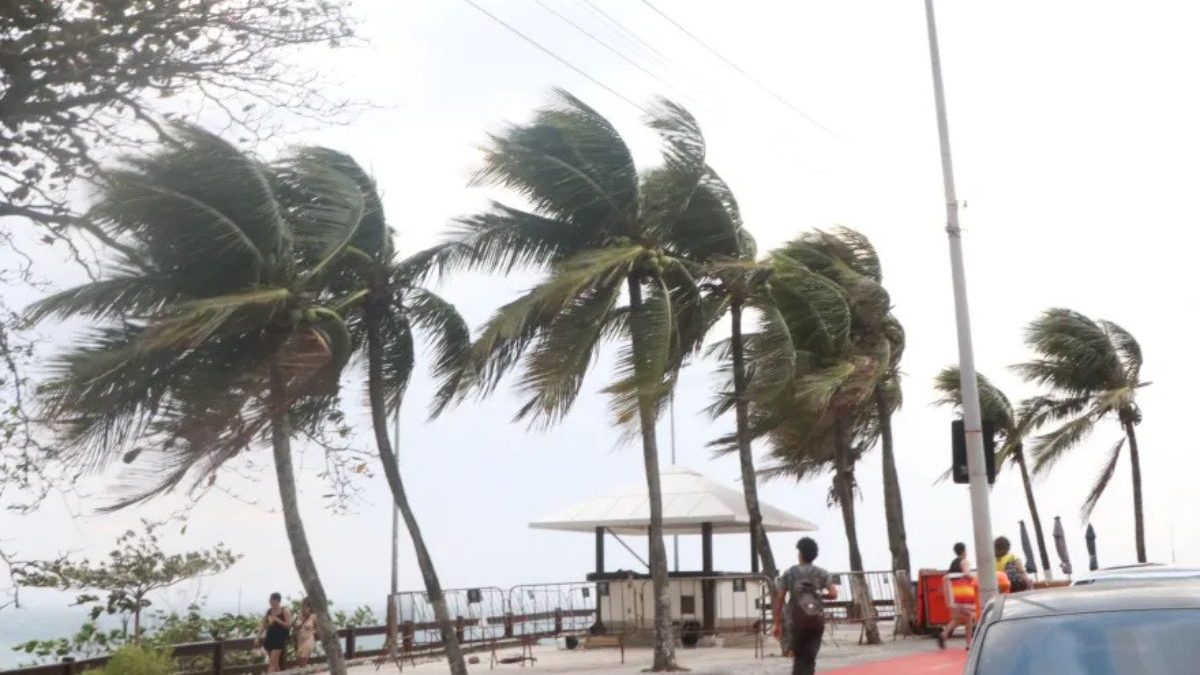 Vendaval de até 100 km/h coloca 11 estados em alerta máximo para destelhamentos; veja as áreas de risco