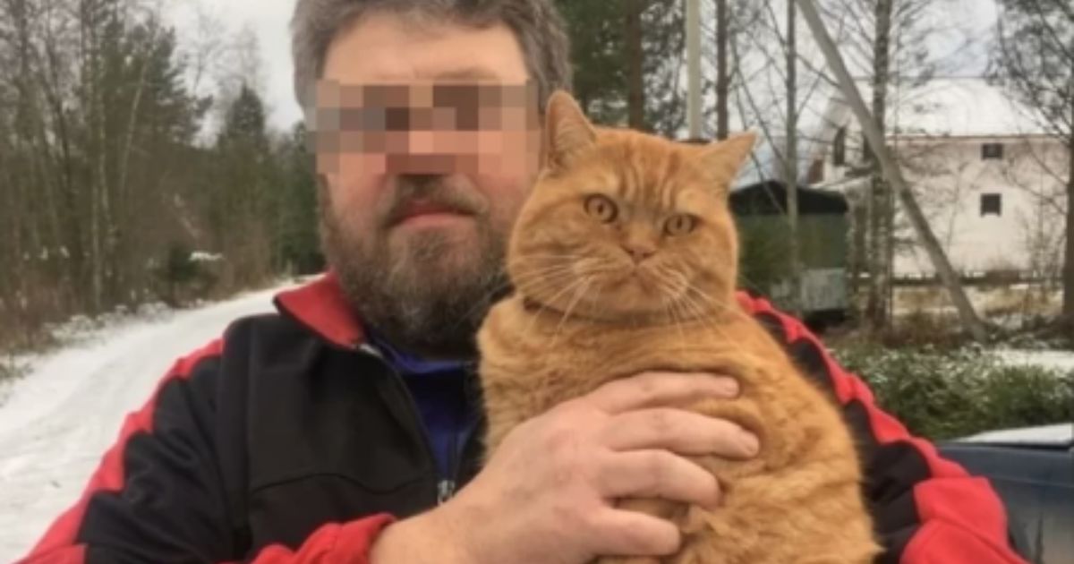 Ele fez de tudo para trazer a gata em segurança de volta para os seus braços; o horror começa no momento em que um arranhão na perna faz o tutor sangrar até a morte antes do socorro chegar