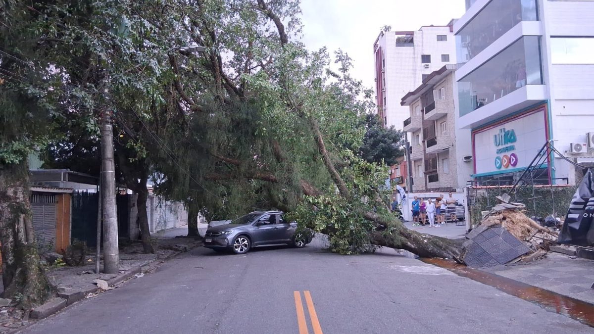 Santos registra ventos de 109 km/h; veja as cidades com as maiores rajadas em SP