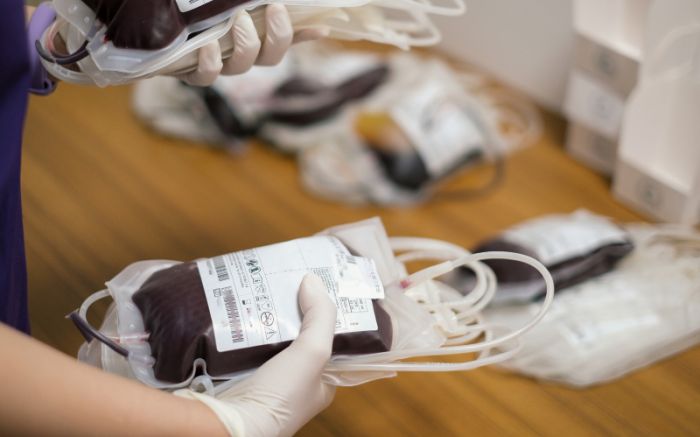Hemosc atualiza critérios para doação de sangue; veja as mudanças