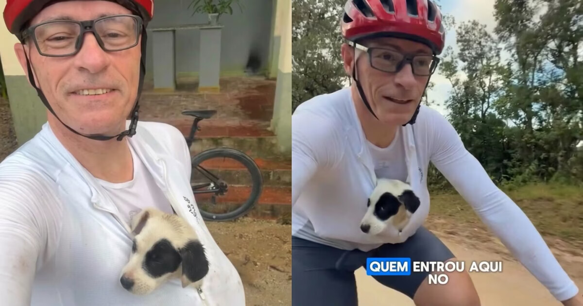 VÍDEO - Ex-ciclista olímpico adota filhote de cão encontrado durante pedalada em estrada entre Brusque e Canelinha