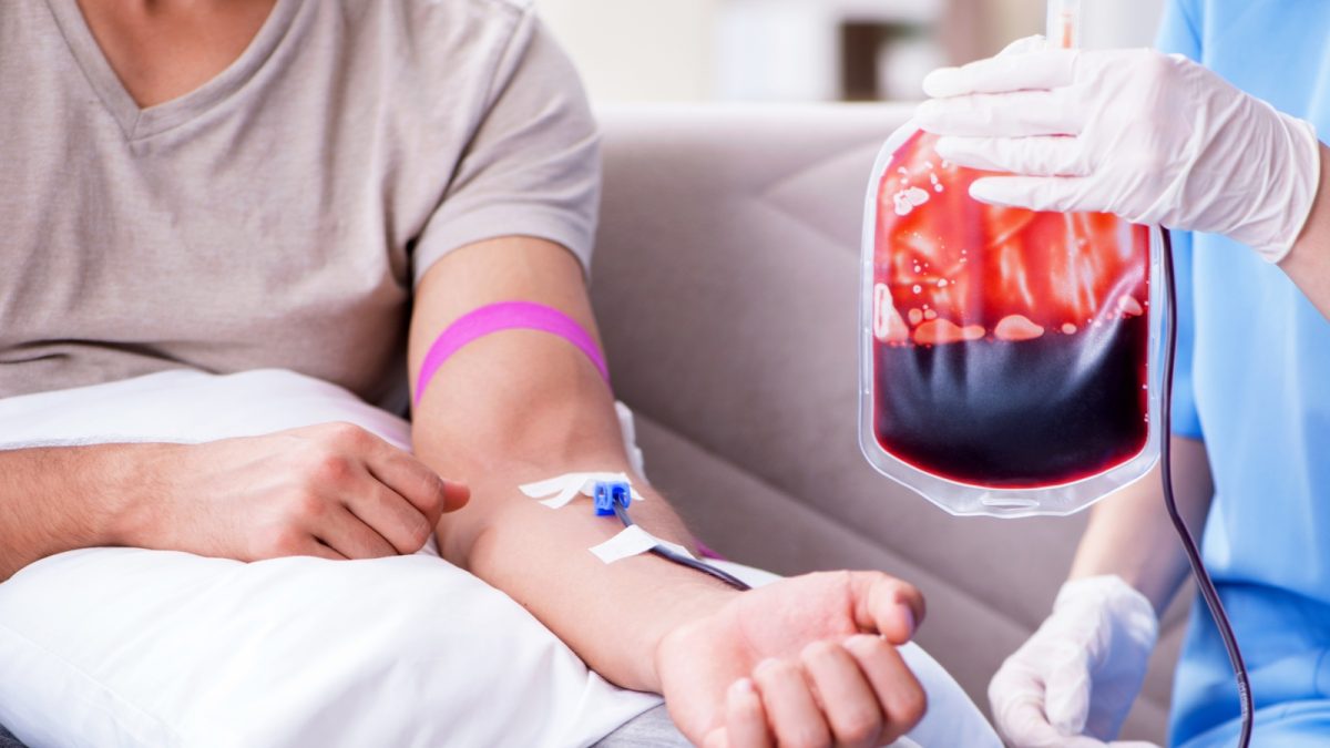 Hemosc adota novas regras e reduz tempo de espera para doação de sangue em Santa Catarina