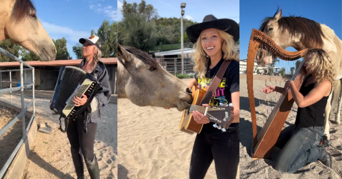 O que era para ser apenas um momento descontraído entre uma cantora e um cavalo acabou em parceria musical; a cena impressiona no momento em que o animal toca instrumentos usando os dentes