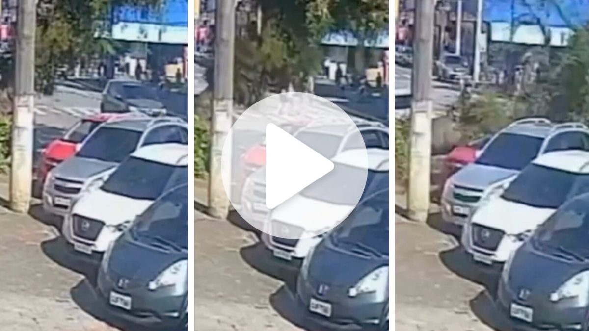 VÍDEO: Árvore cai sobre carro com família dentro e pai e filho escapam por pouco em SP