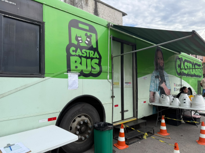 Programa Municipal de Castração Gratuita realiza mutirão e mantém cadastro aberto