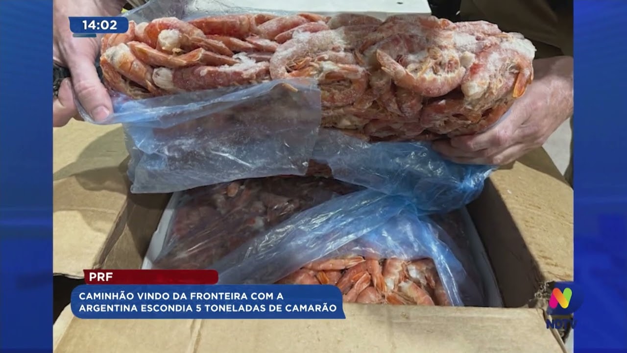 PRF: caminhão vindo da fronteira com a argentina escondia 5 toneladas de camarão