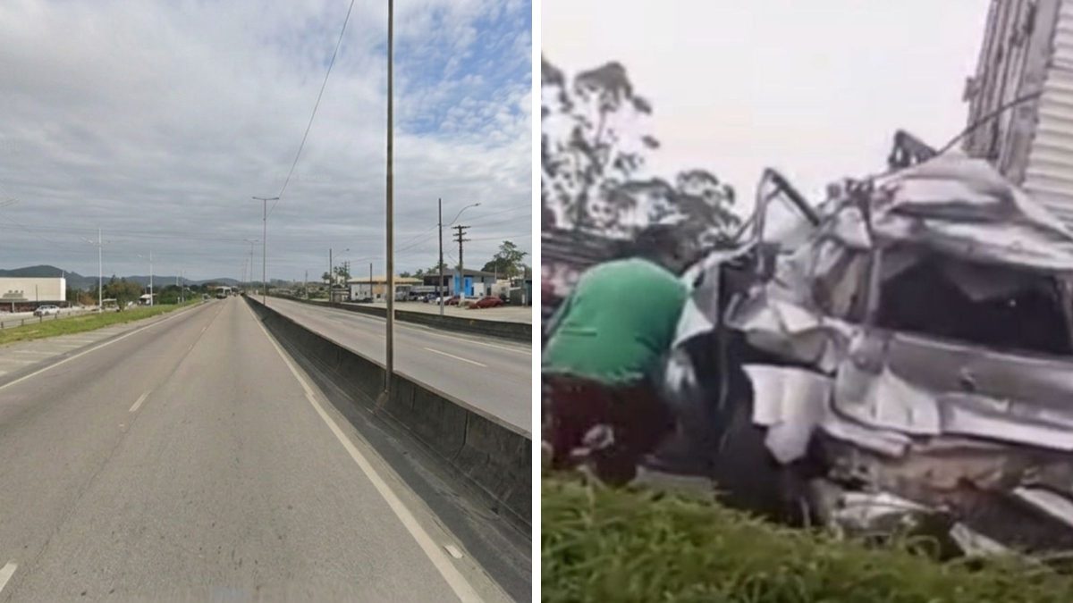Trecho da BR-101 registra 13 atropelamentos e seis mortes em dois anos em SC