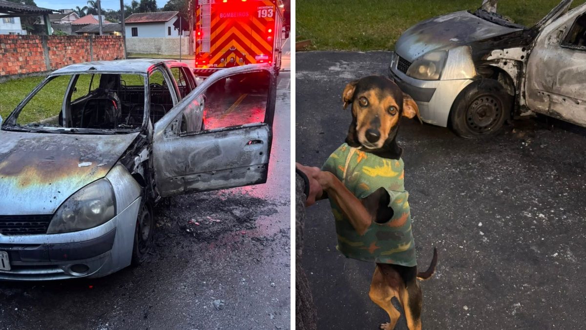 Homem ateia fogo em carro com cachorro dentro após discutir com dona de bar em SC