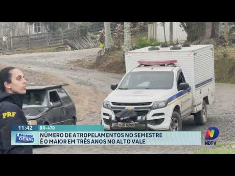 BR 470: número de atropelamentos no semestre é o maior em três anos no Alto Vale