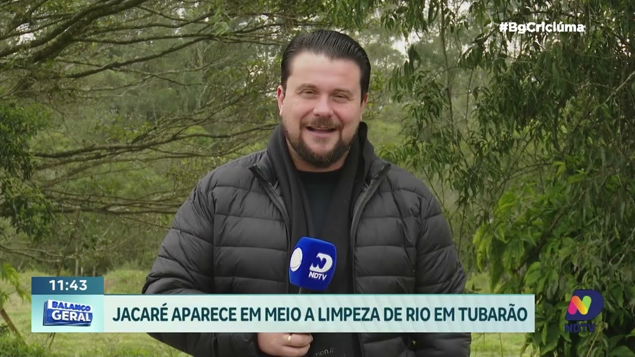 Jacaré é encontrado durante limpeza do Rio da Madre em Tubarão