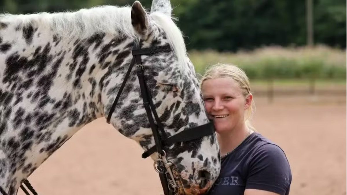 Com ajuda de ‘braile equino’, cavalo cego surpreende ao vencer provas no adestramento: ‘não deixou que a cegueira o impedisse’