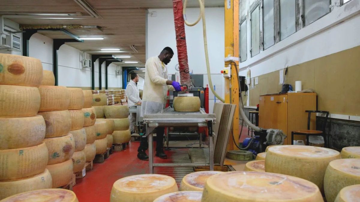 Desde 1953, tradicional banco aceita queijo parmesão como garantia para liberar 80% dos empréstimos