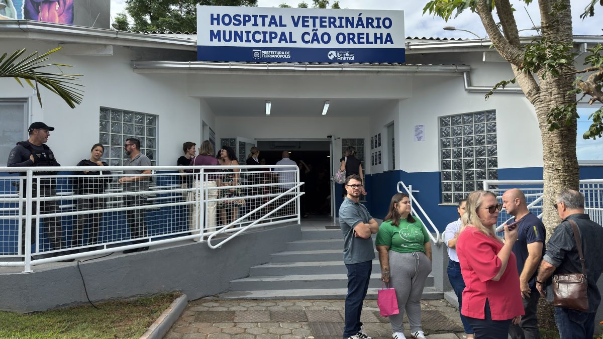 Tutor relata espera de mais de oito horas por atendimento em Hospital Veterinário Cão Orelha em Florianópolis