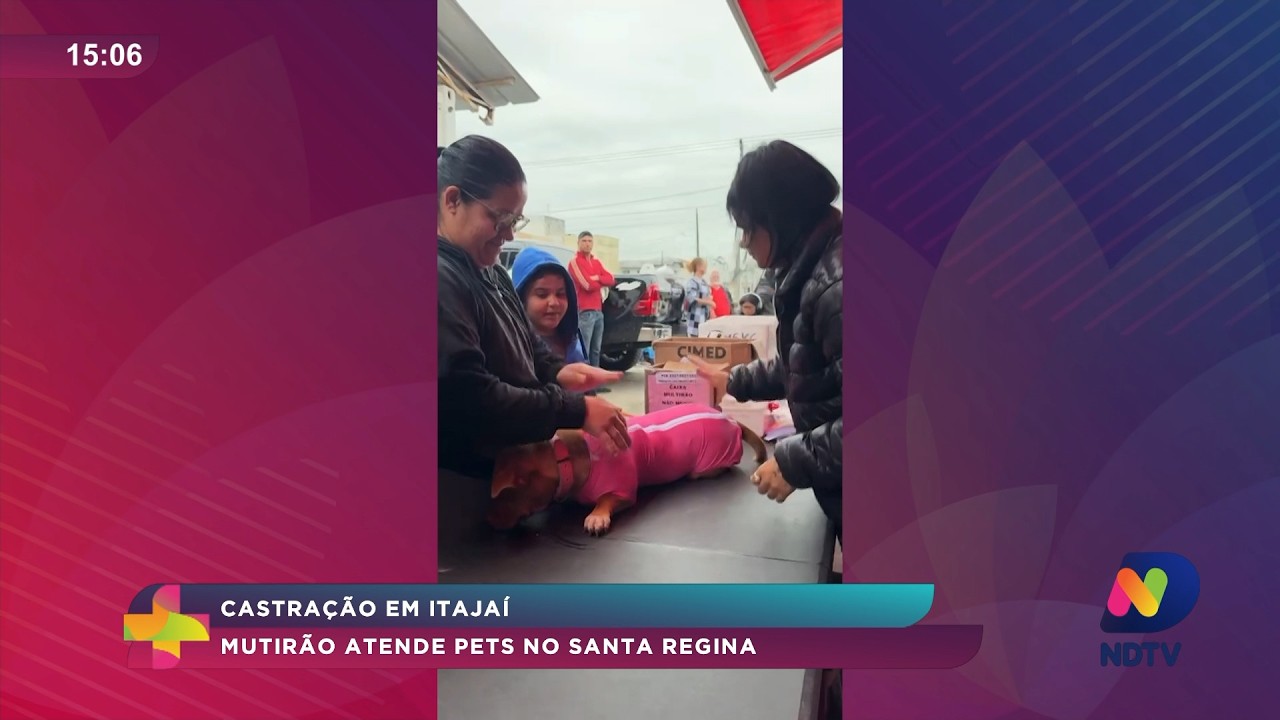 Mutirão de castração atende cães e gatos no Santa Regina em Itajaí