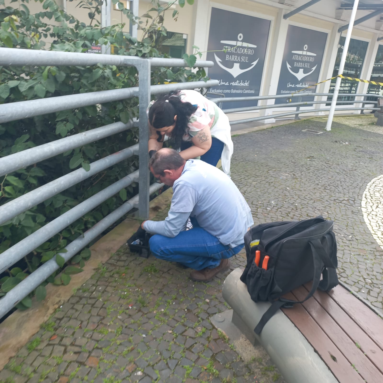 Saúde de BC realiza monitoramento e ações preventivas para combate de roedores