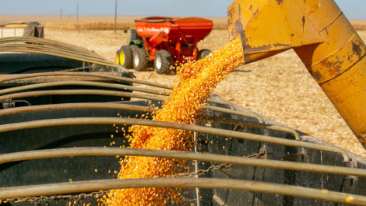 Sul lidera busca por financiamento e crédito rural distribui R$ 28,2 bilhões apenas no primeiro mês da safra 2026/2027