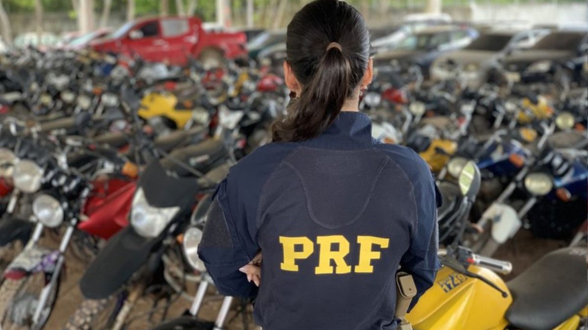 De Gol a HB20: Leilão do Detran oferece veículos 90% mais baratos que a tabela FIPE em SC