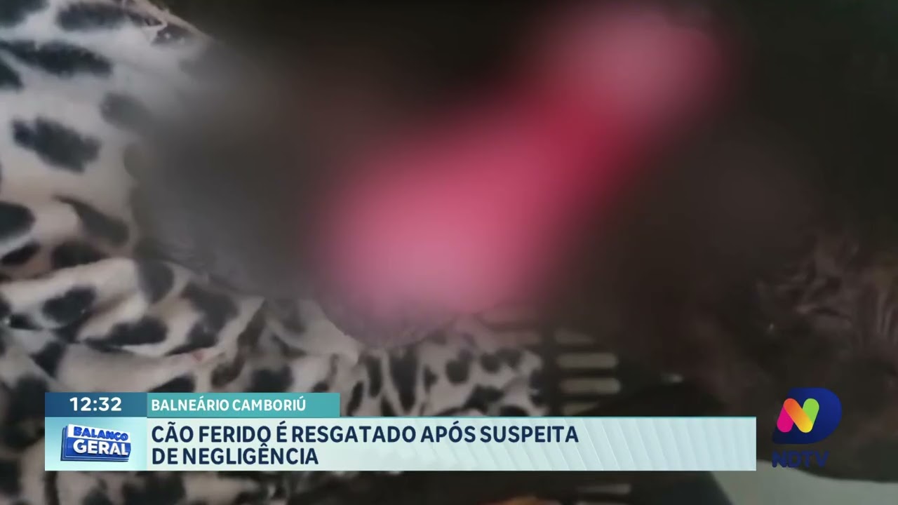 Giro policial: cão ferido é resgatado e homem é detido em Itajaí