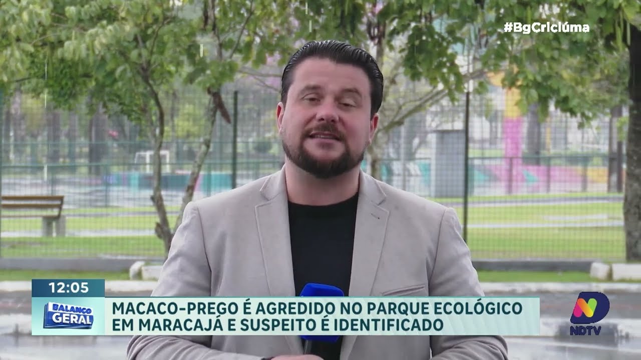Suspeito é identificado após agressão a macaco-prego em Maracajá
