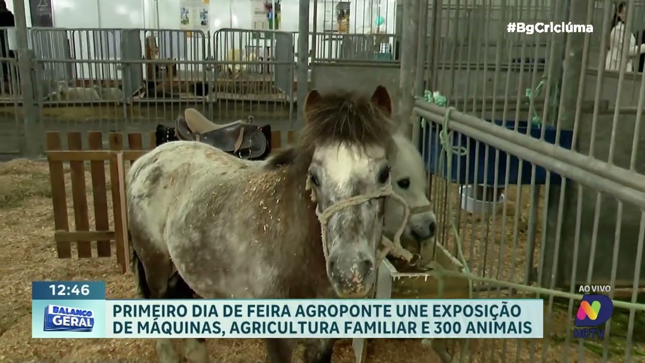 AgroPonte inicia programação com atrações para o público e produtores