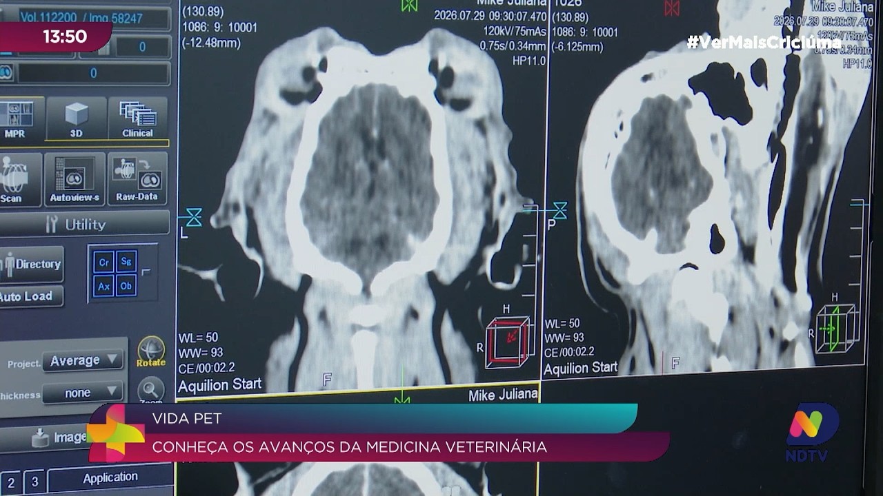 Medicina veterinária ganha tecnologia para cuidar dos pets