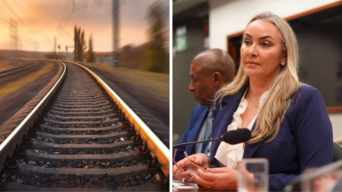 Deputada catarinense encabeça debate sobre reativação e ampliação de ferrovias no Brasil em comissão da Câmara