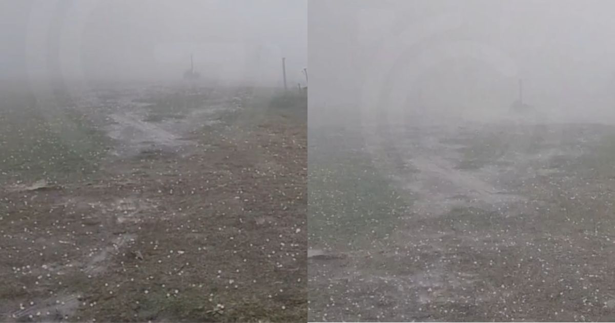 Sob alerta de perigo, chuva de granizo cai em cidade da Serra de SC e 'pinta' paisagem de branco