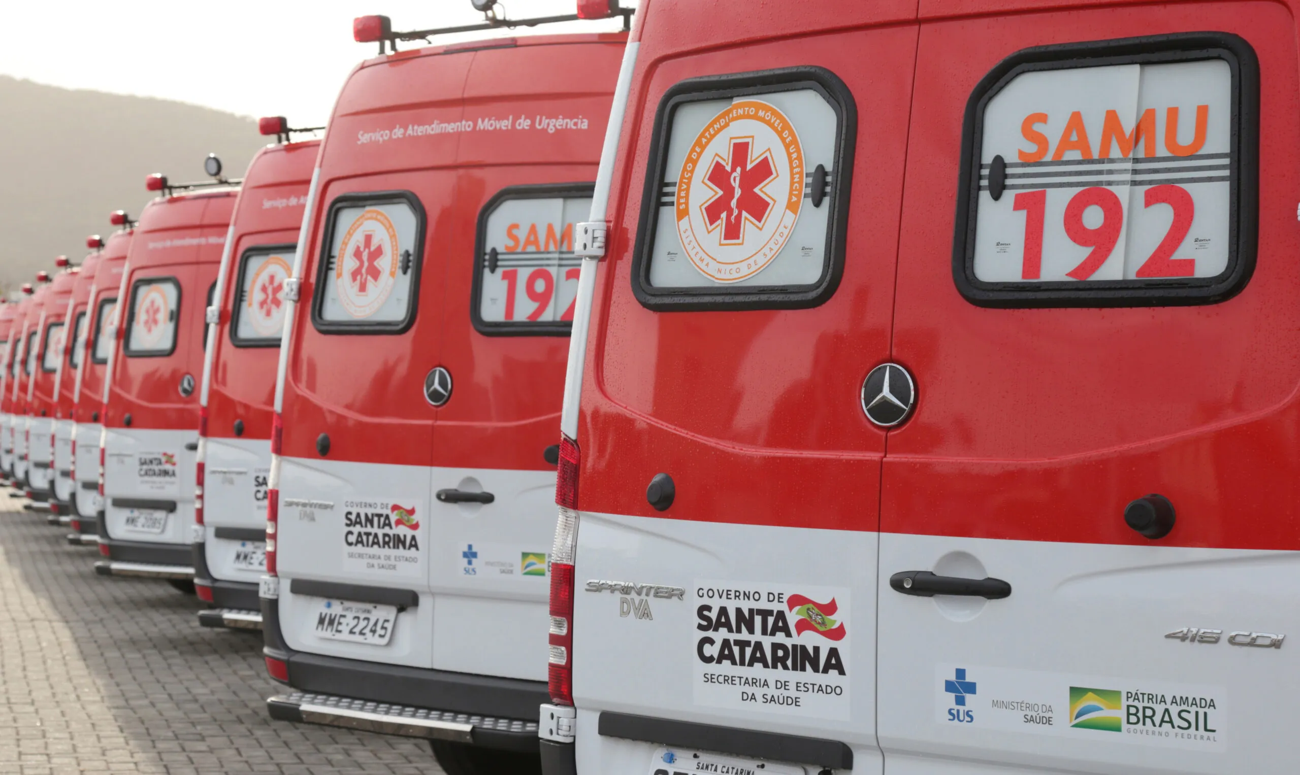 Bebê de 45 dias morre e município apura relação com superdosagem em SC | G1
