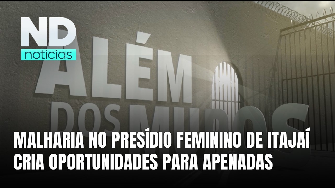 Malharia dentro de presídio feminino de Itajaí promove trabalho e renda