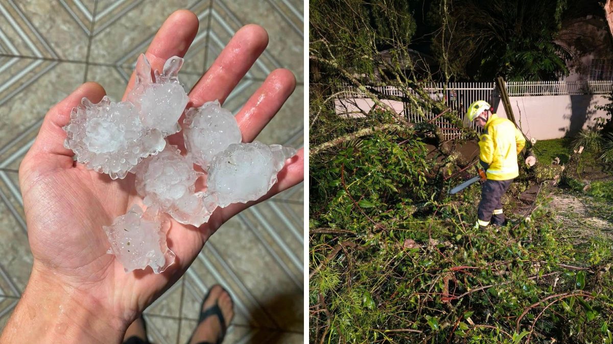 Temporal ‘castiga’ Norte de SC com pedras de granizo, ventos fortes e estragos