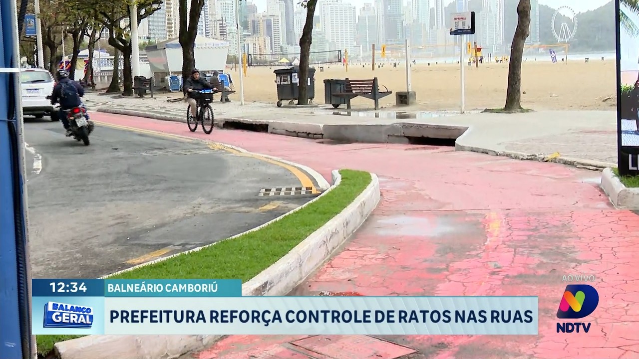 Balneário Camboriú reforça controle de ratos nas ruas da cidade