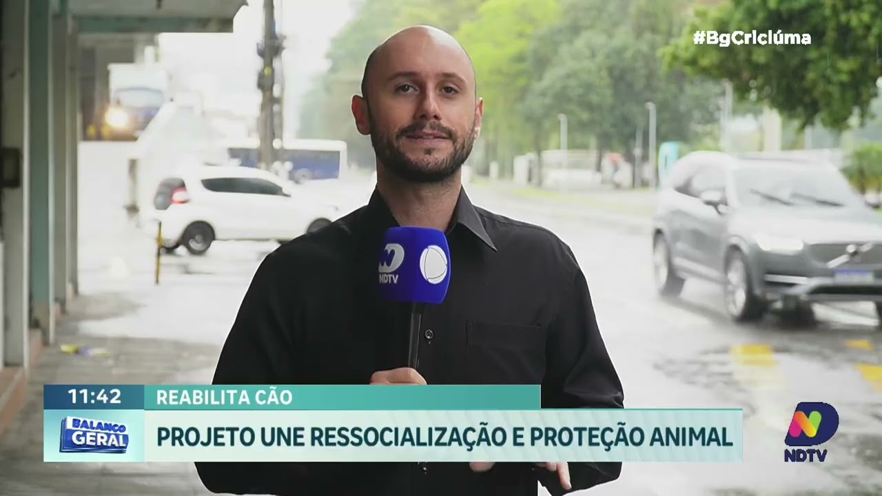 Projeto em Tubarão une ressocialização e proteção animal