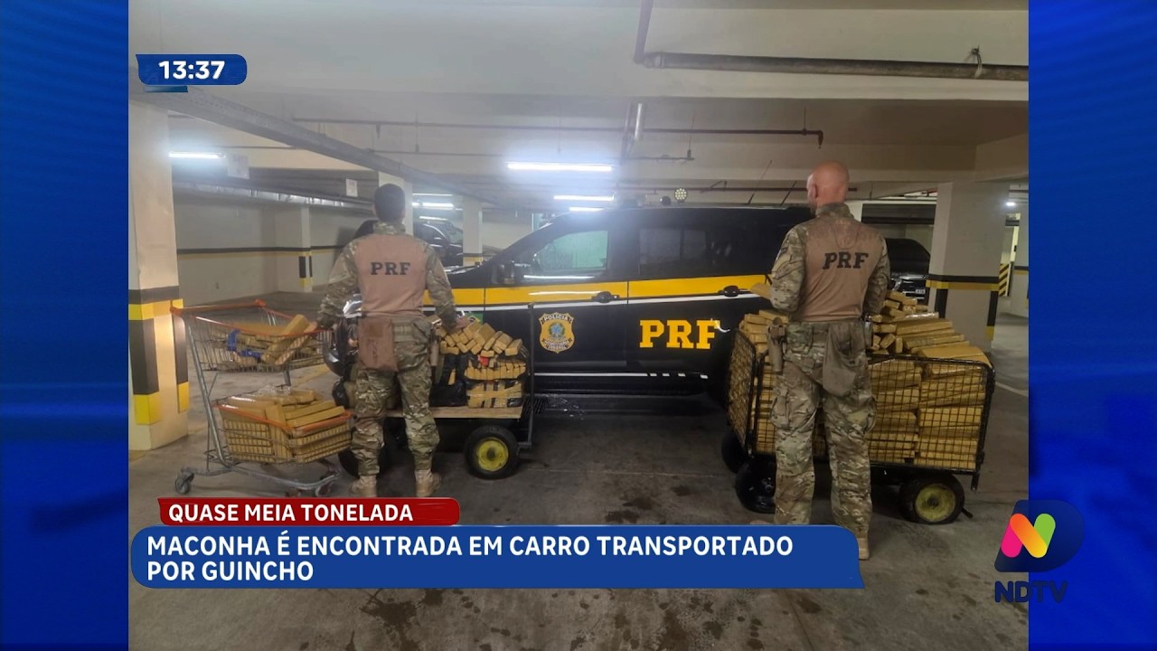 Giro de notícias: maconha em guincho e nova lei de proteção contra crimes digitais