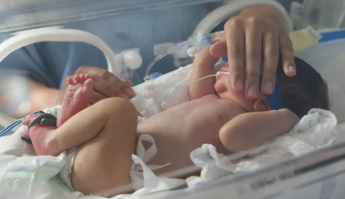 Uma nova chance: recém-nascida poderá ganhar uma família após decisão da mãe em SC