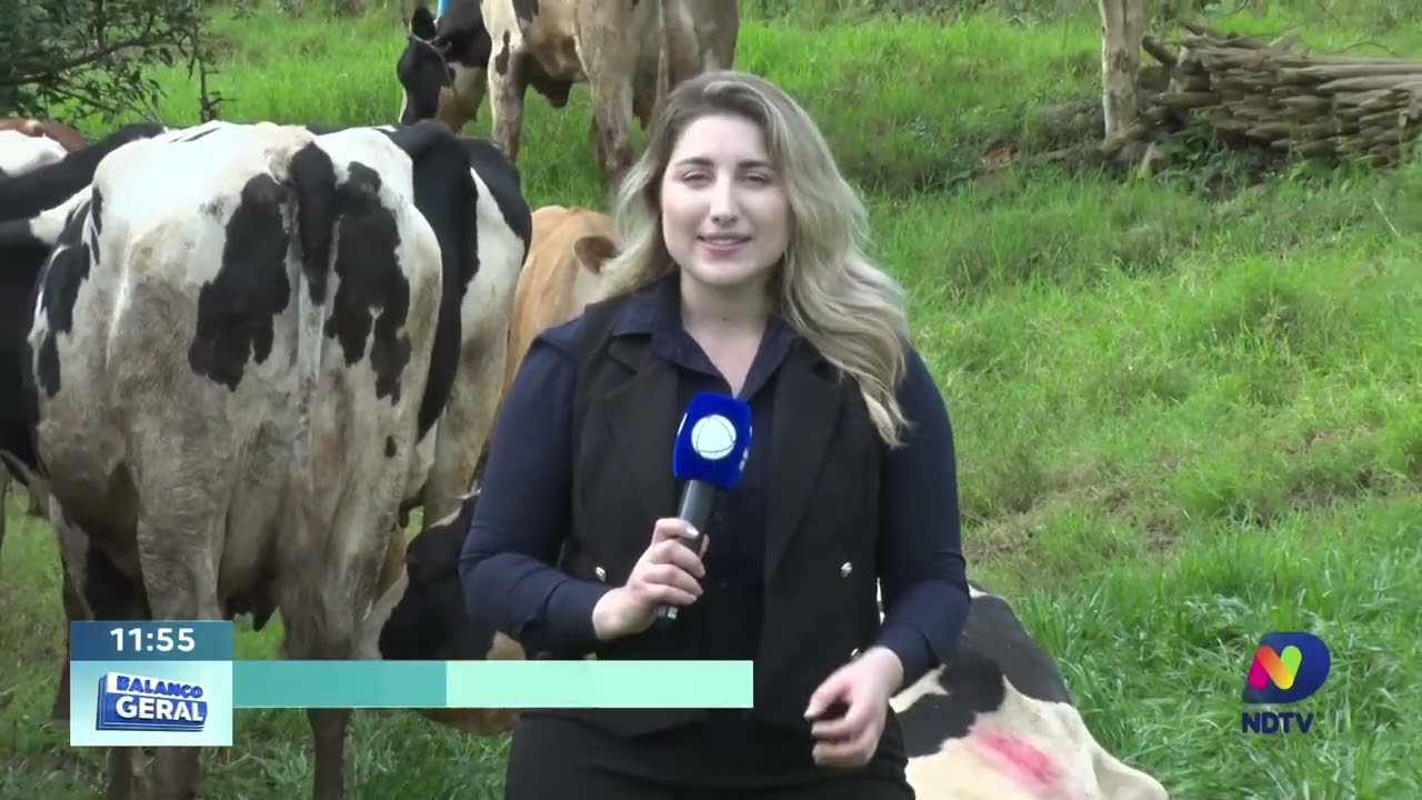 Novas técnicas fazem produção de leite crescer em propriedade de Seara