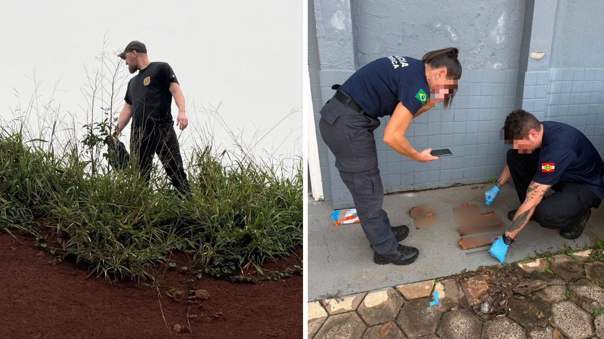 Ossada encontrada mobiliza polícia e tem desfecho inesperado em cidade de SC