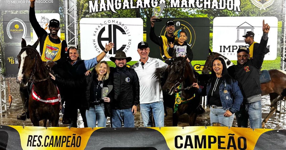 Cavalos e éguas da região se destacam em competição regional em Brusque; veja resultados